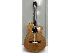 DCT Acoustic Guitar の詳細ページを開く