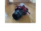【美品】Nikon デジタル一眼レフカメラ …