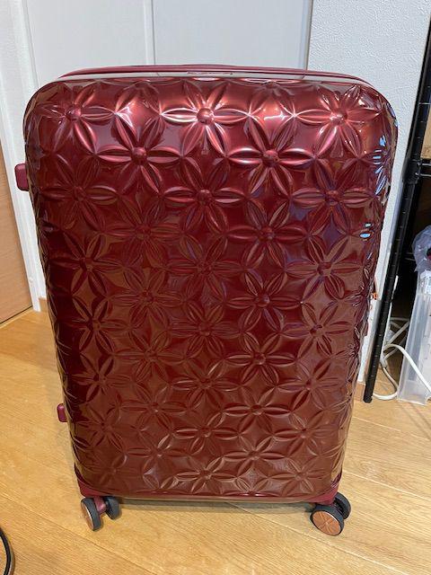 Samsonite THEONI サムソナイト スーツケース セオニー （ その他