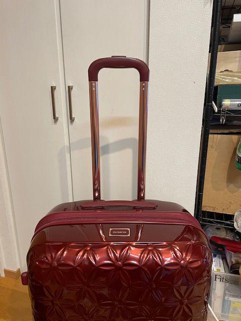 Samsonite THEONI サムソナイト スーツケース セオニー （ その他