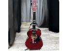 Takamine タカミネ アコースティックギター T-F2STRの詳細ページを開く