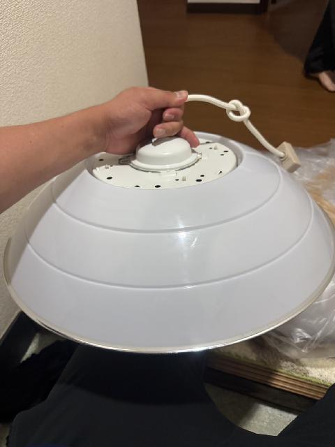 シーリングライト