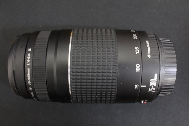 Canon EF 75-300mm 1:4-5.6 Ⅲ