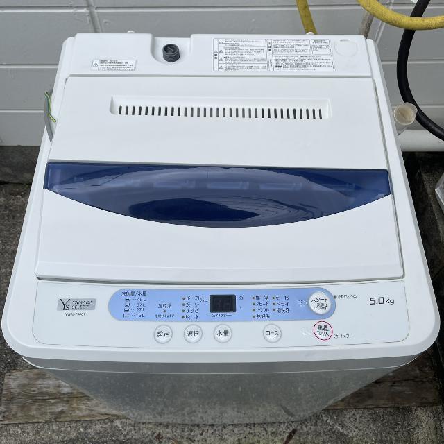 ヤマダ】洗濯機 YWM-T50G1 2019年製 5kg （ 洗濯機・ドラム洗濯機）の 