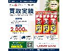 スパイダージェル カビ取り剤 500ml 3本セットの詳細ページを開く