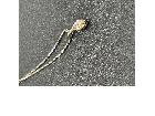 Pt850 ダイヤ1.01ct ネックレスの詳細ページを開く