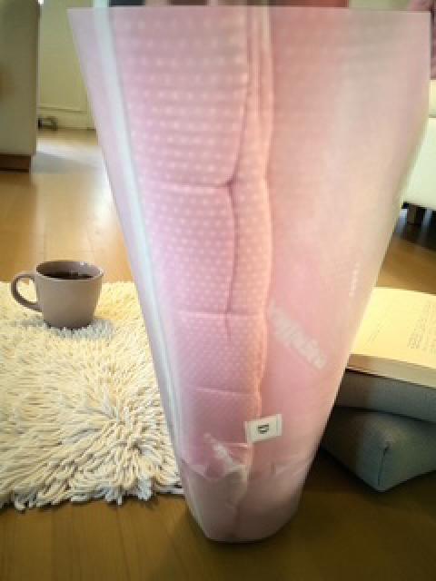 マニフレックスのダブルマット