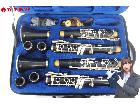 SELMER セルマー SERIES 10G クラリネット 2点セット 木管楽器 ケース付きの詳細ページを開く