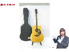 Epiphone エピフォン FT-565 Excellente Made in Japan 12弦の詳細ページを開く
