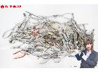 Nishimura ニシムラ ヤットコ 他 メガネ工具 100点以上 大量 まとめてセットの詳細ページを開く