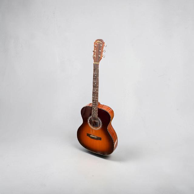 Aria Dreadnought アコースティックギター 