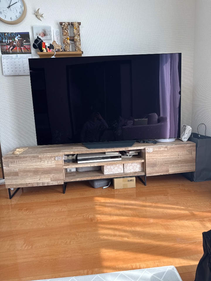 LGOLEDカラーテレビ・OLED65B1PJA