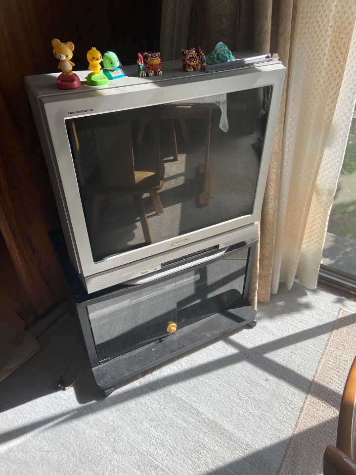 ブラウン管テレビ　29型　パナソニック　TH-29FP5