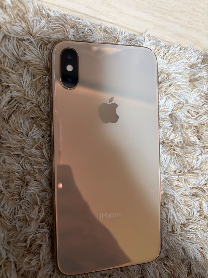 iPhone X