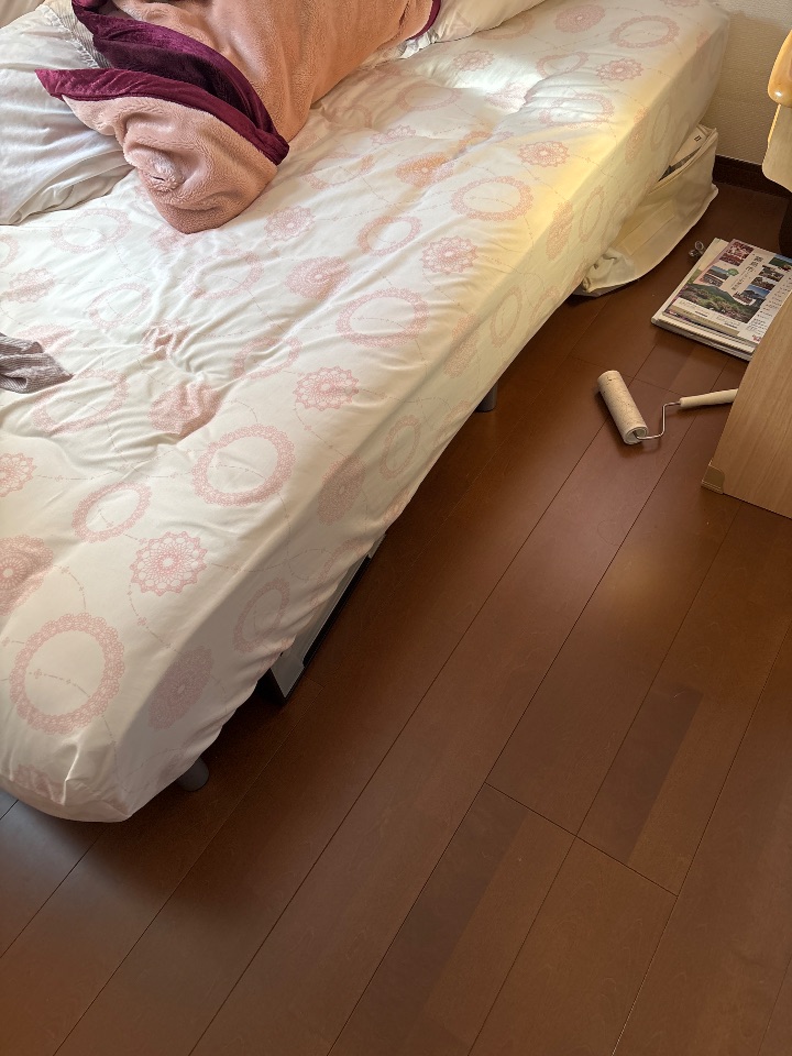 ベット