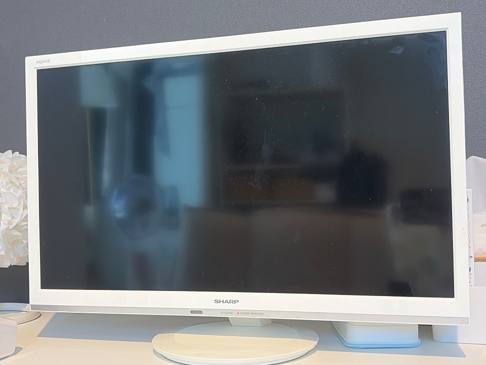 テレビ sharp 2T-C24AD