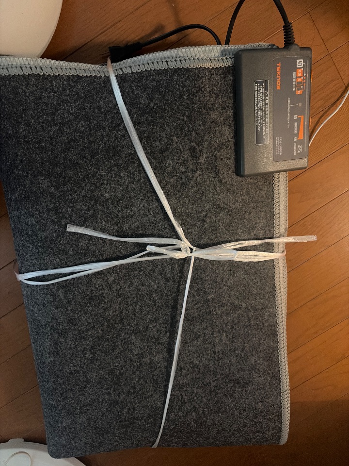 TEKNOS 電気カーペット