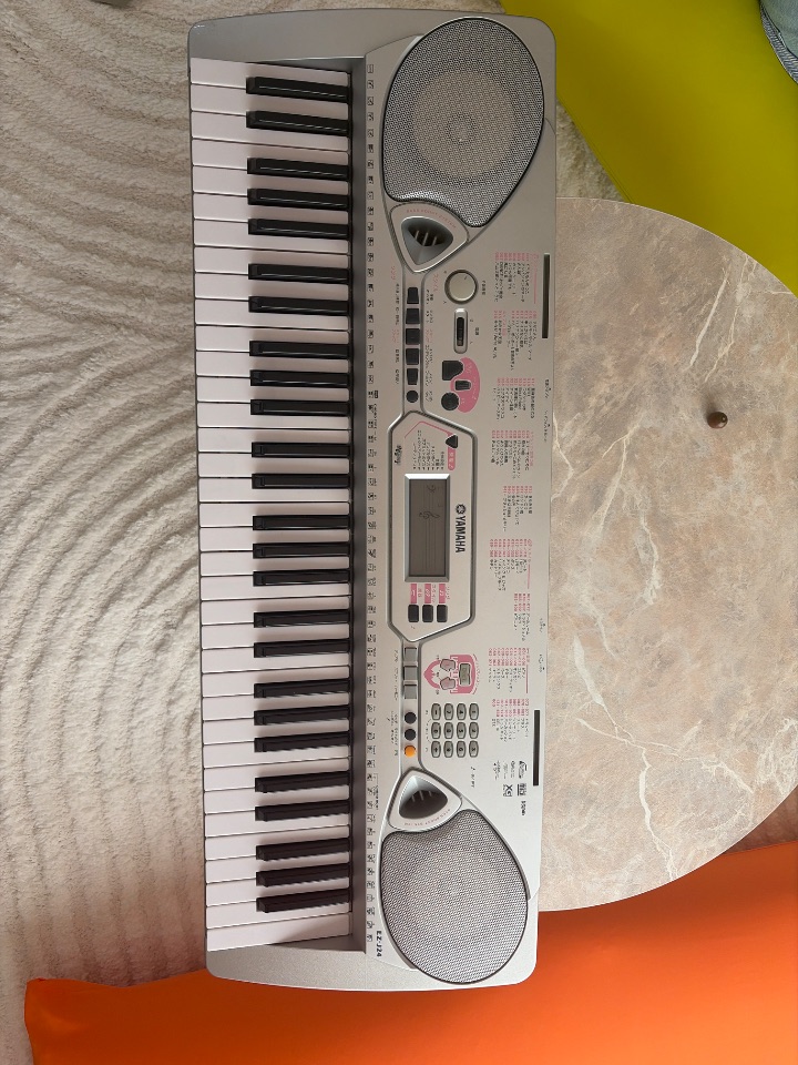 YAMAHA EZ-J24