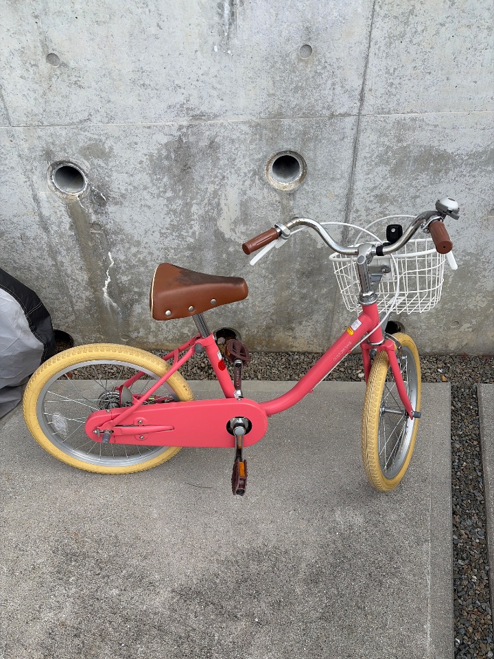 CUSTOM BIKE 18